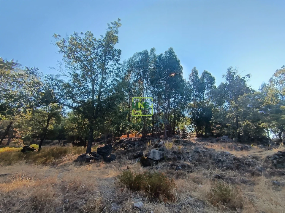 Terreno Agricola ou Rústico para Venda em Penamacor Foto 7