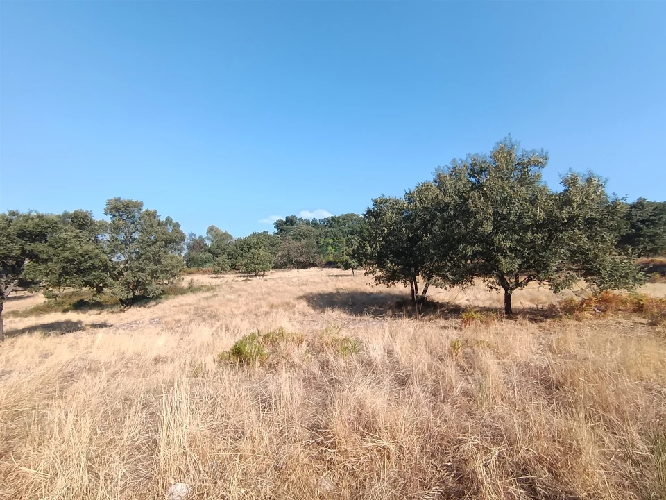Terreno Agricola ou Rústico para Venda em Penamacor Foto 8
