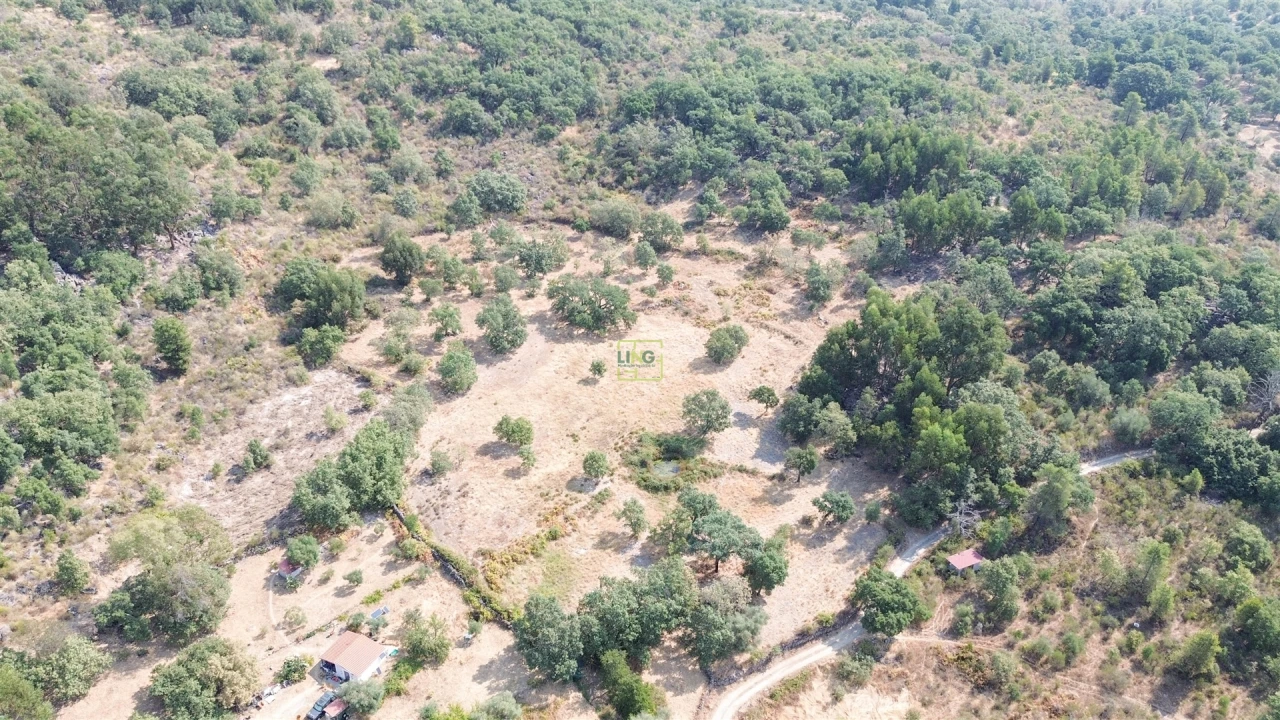 Terreno Agricola ou Rústico para Venda em Penamacor Foto 34