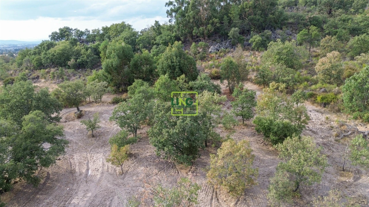 Terreno Agricola ou Rústico para Venda em Penamacor Foto 50