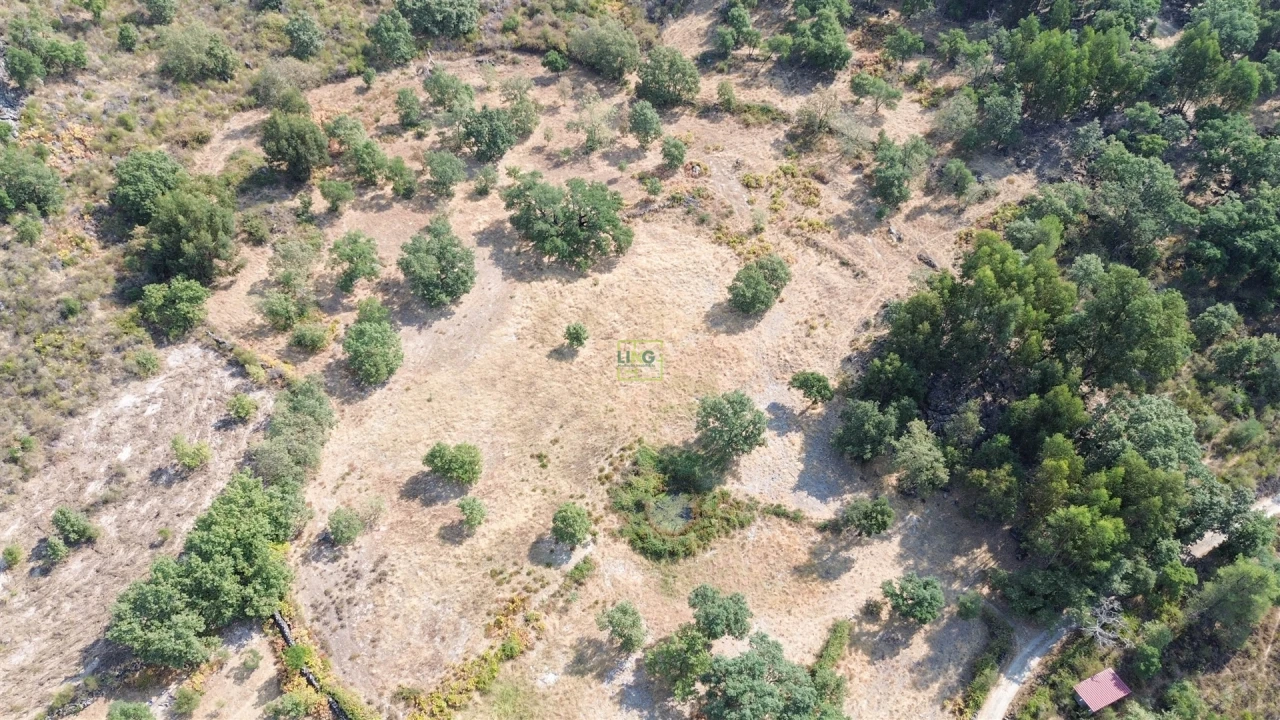 Terreno Agricola ou Rústico para Venda em Penamacor Foto 33