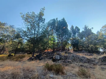 Terreno Agricola ou Rústico para Venda em Penamacor
