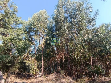Terreno Agricola ou Rústico para Venda em Penamacor
