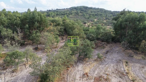 Terreno Agricola ou Rústico para Venda em Penamacor