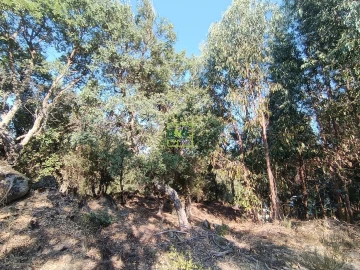 Terreno Agricola ou Rústico para Venda em Penamacor