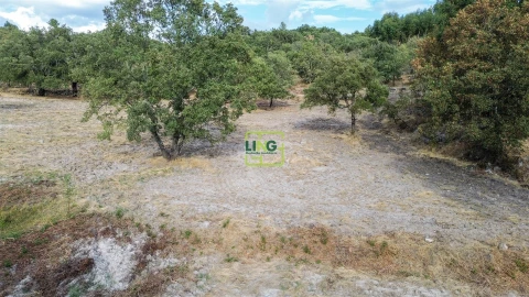 Terreno Agricola ou Rústico para Venda em Penamacor