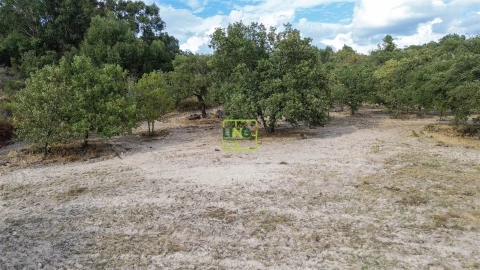 Terreno Agricola ou Rústico para Venda em Penamacor