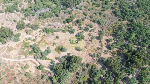 Terreno Agricola ou Rústico para Venda em Penamacor