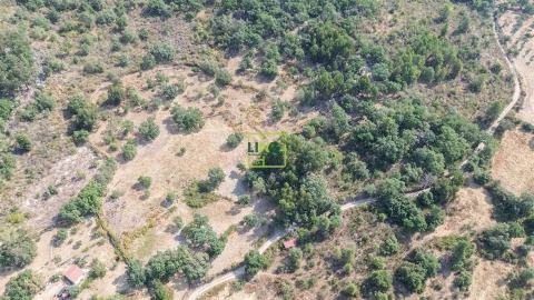 Terreno Agricola ou Rústico para Venda em Penamacor