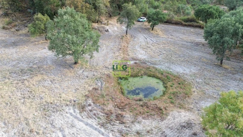 Terreno Agricola ou Rústico para Venda em Penamacor