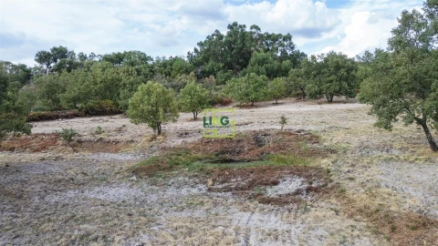 Terreno Agricola ou Rústico para Venda em Penamacor