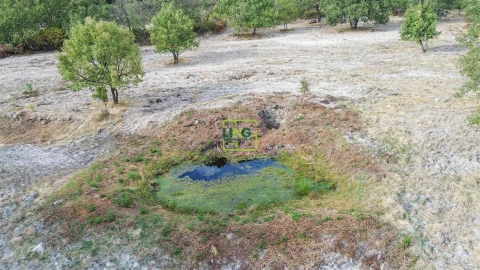 Terreno Agricola ou Rústico para Venda em Penamacor