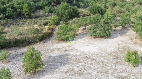 Terreno Agricola ou Rústico para Venda em Penamacor