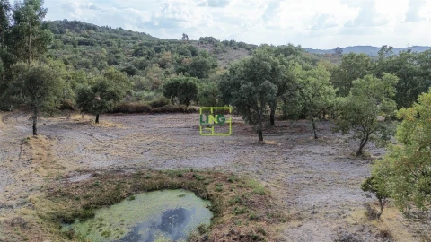 Terreno Agricola ou Rústico para Venda em Penamacor