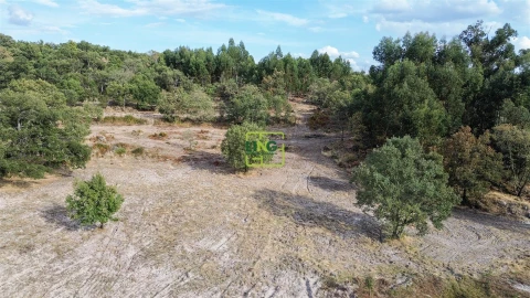 Terreno Agricola ou Rústico para Venda em Penamacor