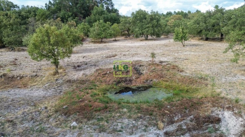 Terreno Agricola ou Rústico para Venda em Penamacor