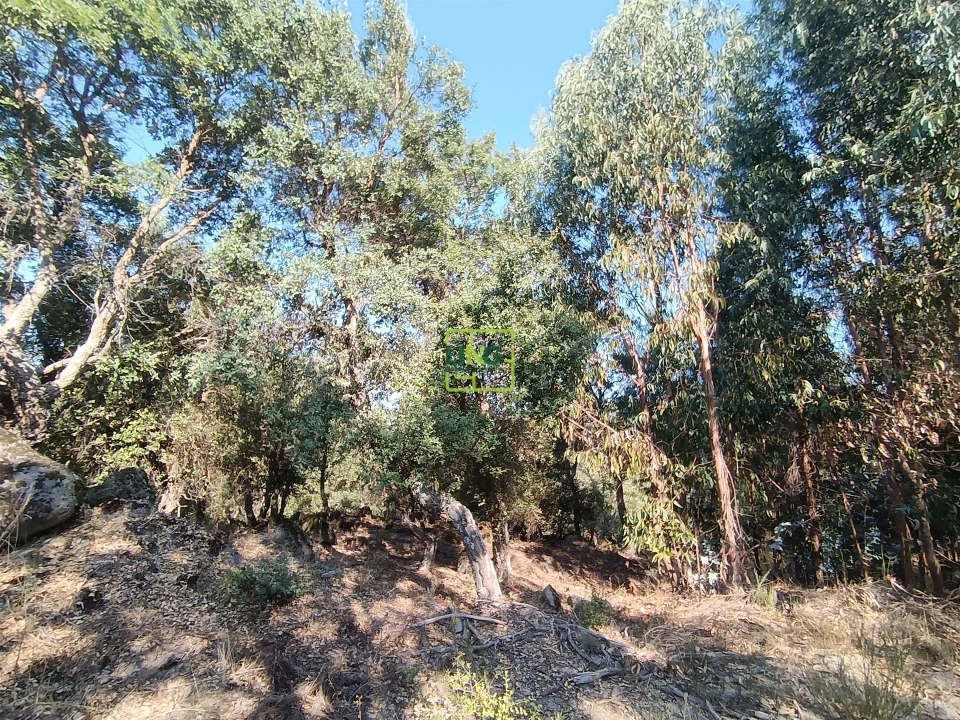 Terreno Agricola ou Rústico para Venda em Penamacor Foto 18