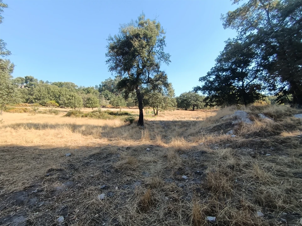 Terreno Agricola ou Rústico para Venda em Penamacor Foto 27