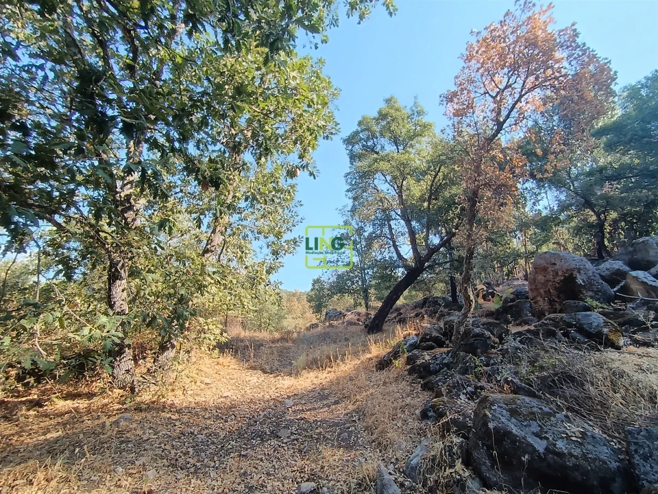 Terreno Agricola ou Rústico para Venda em Penamacor Foto 13