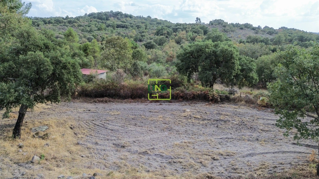 Terreno Agricola ou Rústico para Venda em Penamacor Foto 59