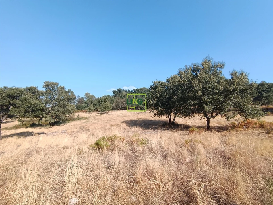 Terreno Agricola ou Rústico para Venda em Penamacor Foto 5