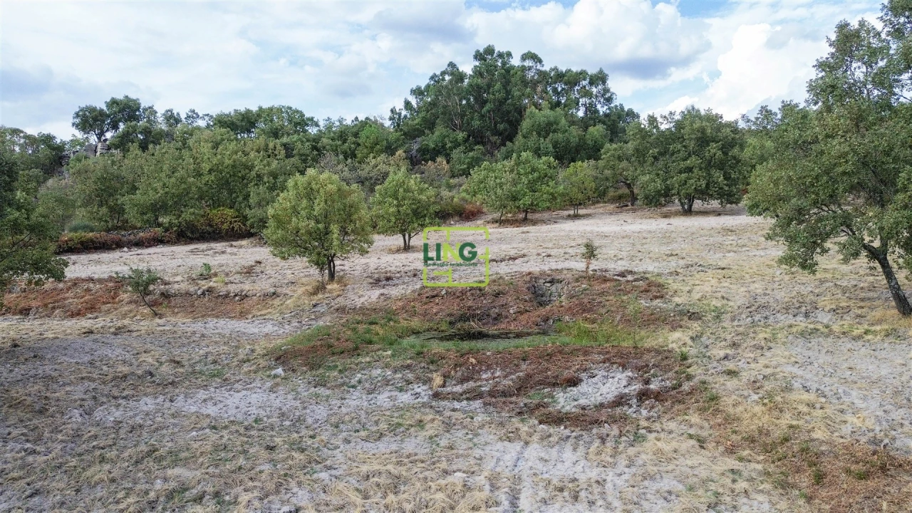 Terreno Agricola ou Rústico para Venda em Penamacor Foto 35