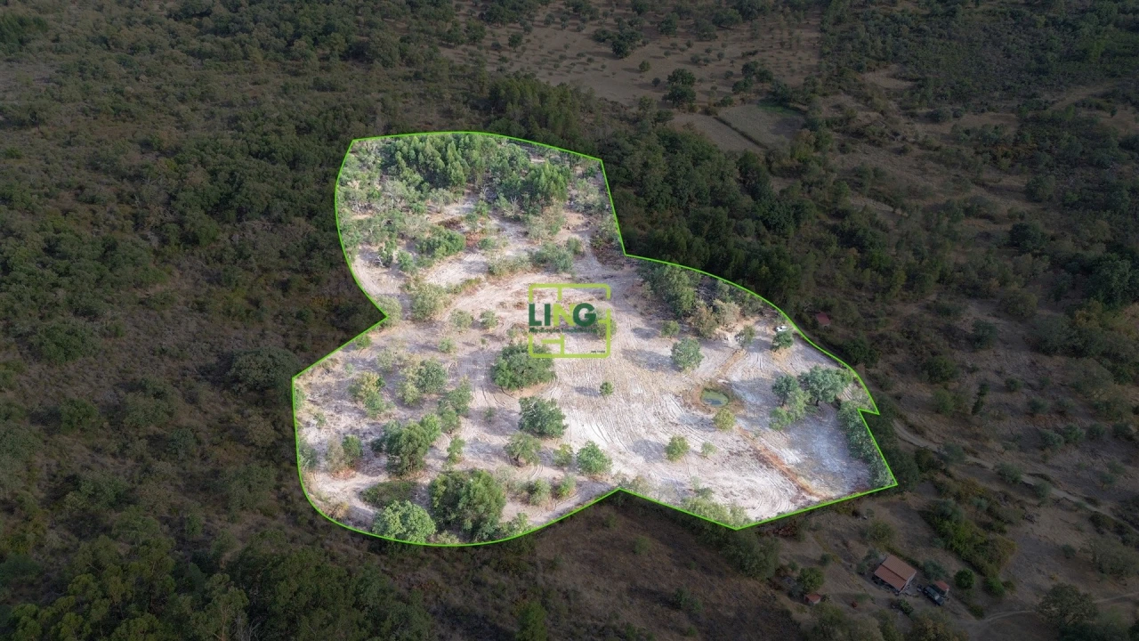 Terreno Agricola ou Rústico para Venda em Penamacor Foto 42