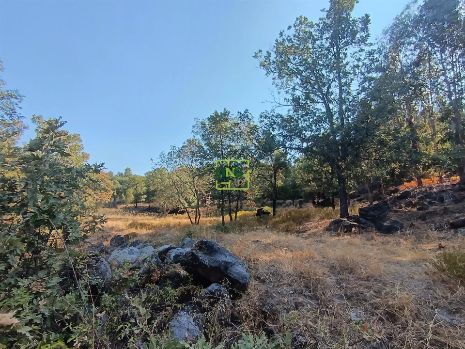 Terreno Agricola ou Rústico para Venda em Penamacor Foto 8