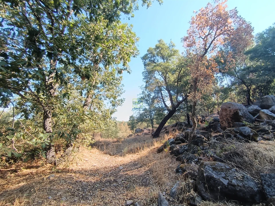 Terreno Agricola ou Rústico para Venda em Penamacor Foto 17