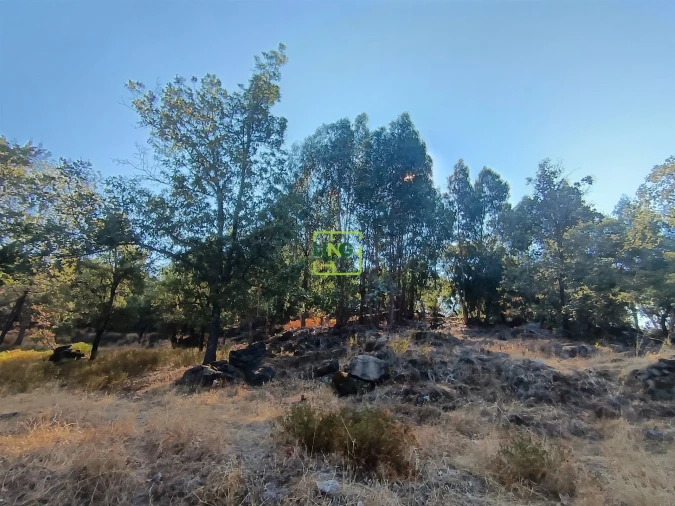 Terreno Agricola ou Rústico para Venda em Penamacor Foto 7