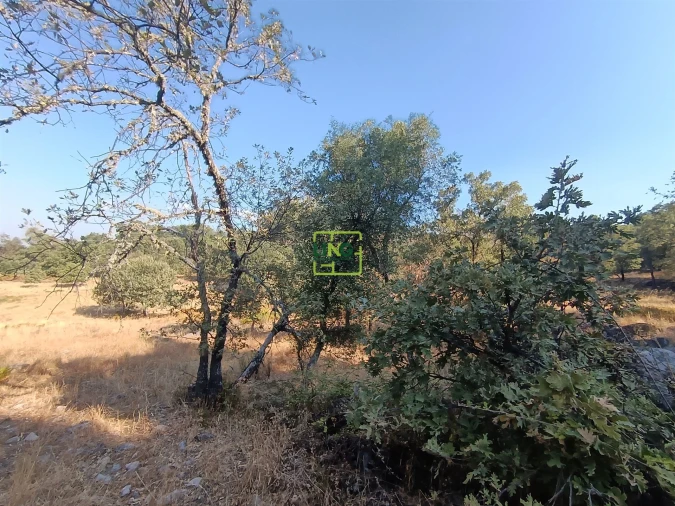 Terreno Agricola ou Rústico para Venda em Penamacor Foto 9