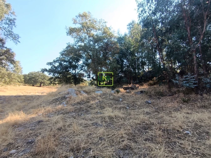 Terreno Agricola ou Rústico para Venda em Penamacor Foto 26
