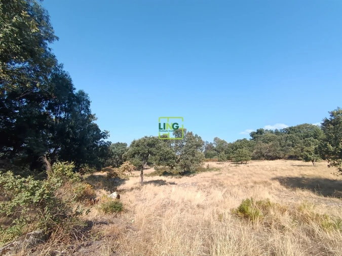 Terreno Agricola ou Rústico para Venda em Penamacor Foto 6