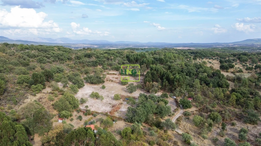 Terreno Agricola ou Rústico para Venda em Penamacor Foto 66