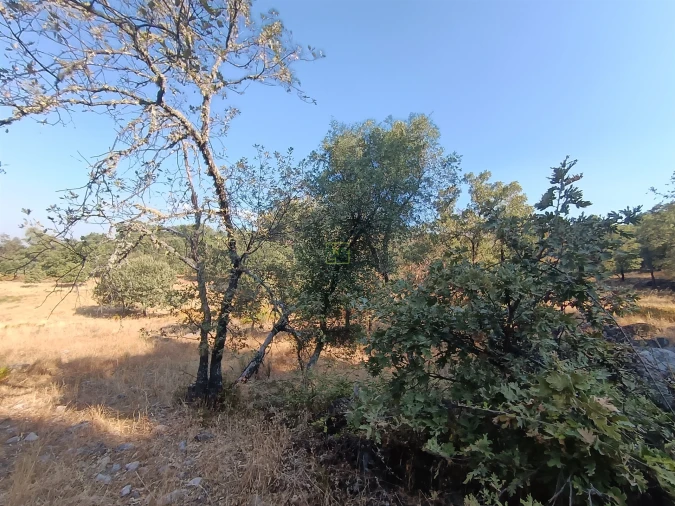 Terreno Agricola ou Rústico para Venda em Penamacor Foto 12