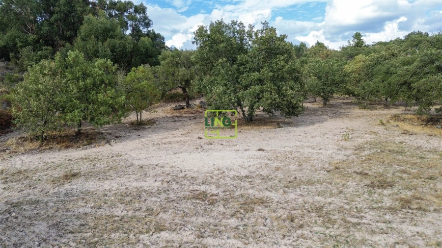 Terreno Agricola ou Rústico para Venda em Penamacor Foto 56