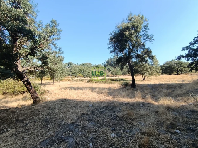 Terreno Agricola ou Rústico para Venda em Penamacor Foto 25
