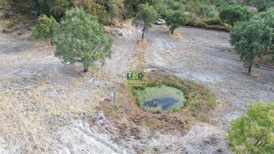 Terreno Agricola ou Rústico para Venda em Penamacor Foto 43