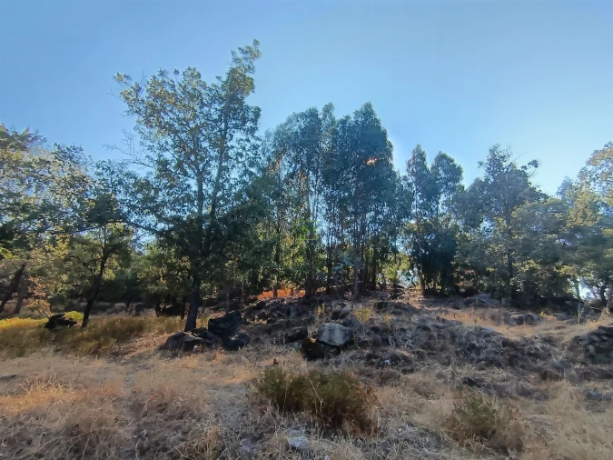 Terreno Agricola ou Rústico para Venda em Penamacor Foto 10