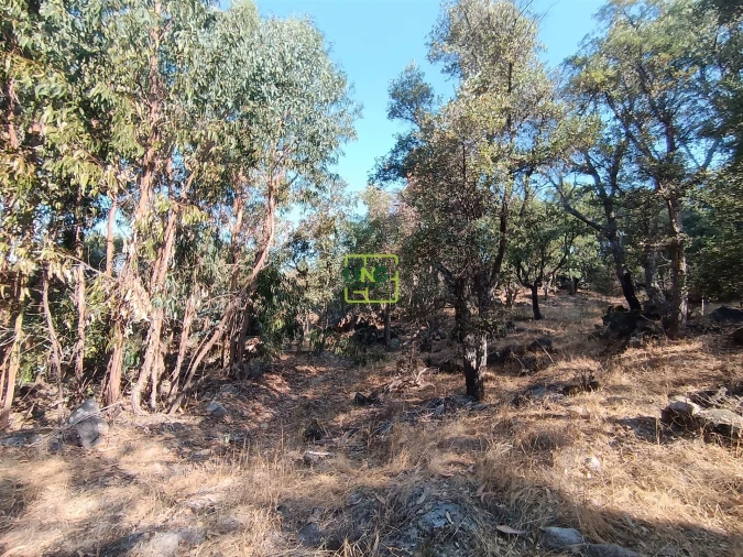 Terreno Agricola ou Rústico para Venda em Penamacor Foto 22