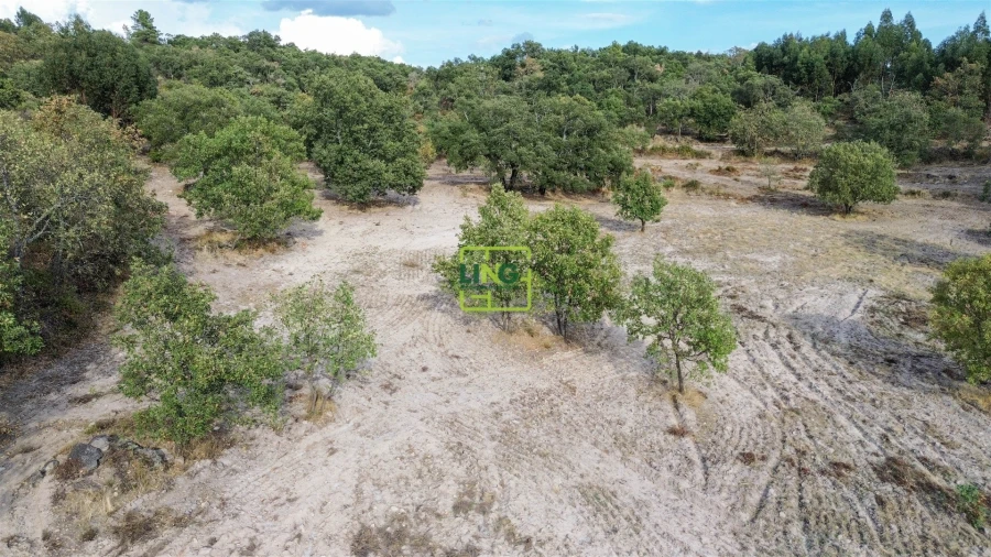 Terreno Agricola ou Rústico para Venda em Penamacor Foto 53