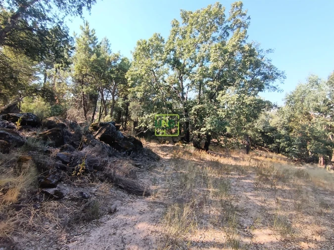 Terreno Agricola ou Rústico para Venda em Penamacor Foto 15