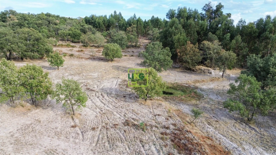 Terreno Agricola ou Rústico para Venda em Penamacor Foto 52