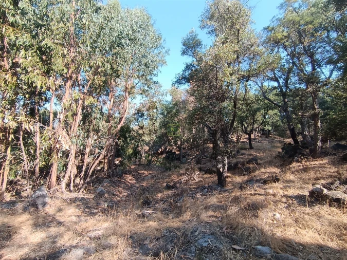 Terreno Agricola ou Rústico para Venda em Penamacor Foto 25