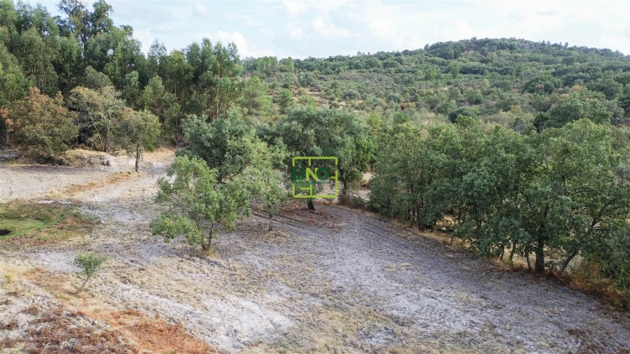 Terreno Agricola ou Rústico para Venda em Penamacor Foto 54