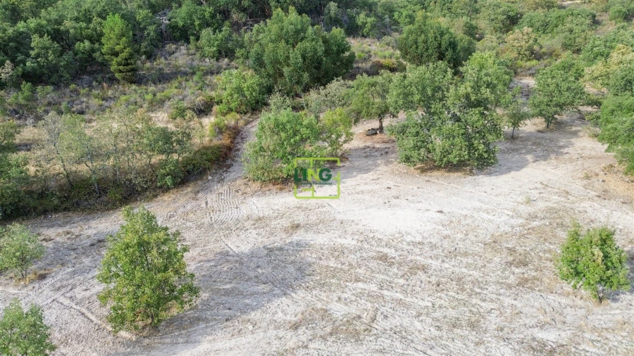 Terreno Agricola ou Rústico para Venda em Penamacor Foto 45
