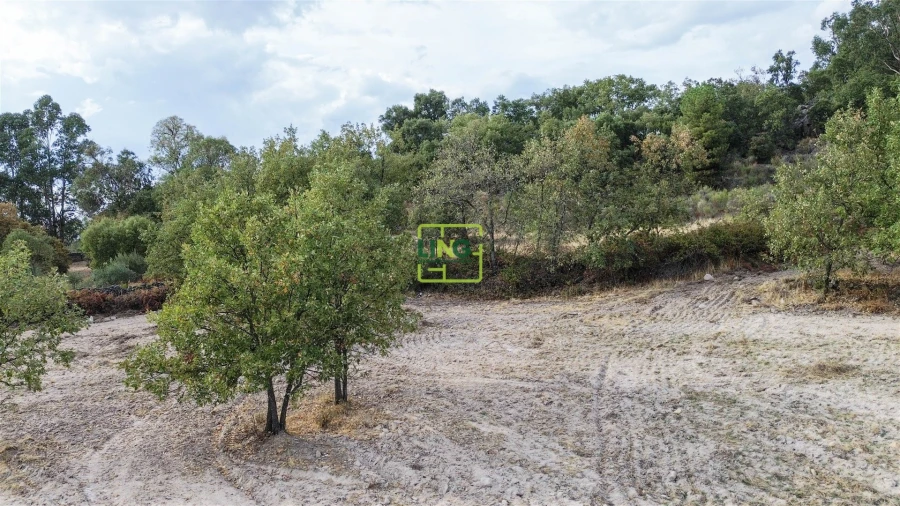 Terreno Agricola ou Rústico para Venda em Penamacor Foto 65