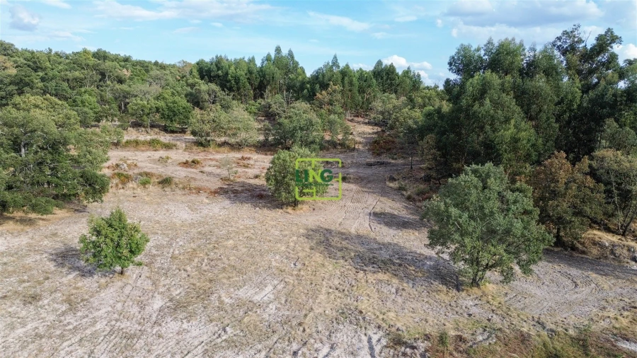 Terreno Agricola ou Rústico para Venda em Penamacor Foto 37