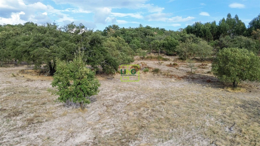 Terreno Agricola ou Rústico para Venda em Penamacor Foto 55