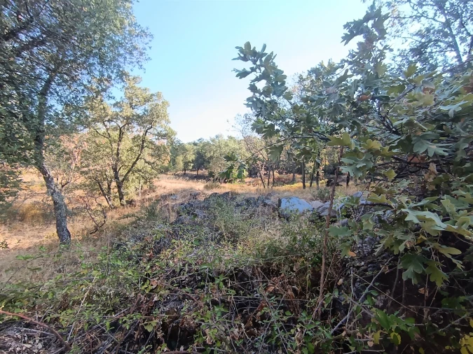 Terreno Agricola ou Rústico para Venda em Penamacor Foto 26